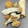 Gold Member’s #1 Dried Mushrooms